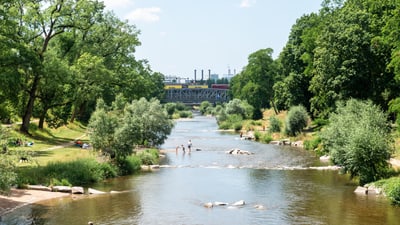 Kühlender Frischluftkorridor Wiese