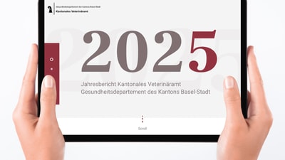 Jahresbericht VABS 2025