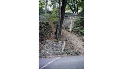 Steinmauer am Hang mit Bäumen im Wald.