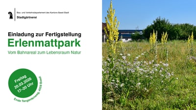 Einladung zur Fertigstellung des Erlenmattparks mit Wiese und Datumsschild.