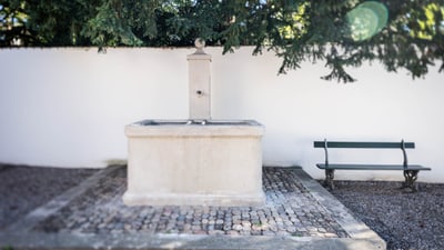 Brunnen im Innenhof des Lüscherhauses in Riehen