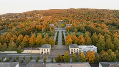 Luftaufnahme eines grossen Parks mit Herbstbäumen und Gebäuden im Vordergrund.