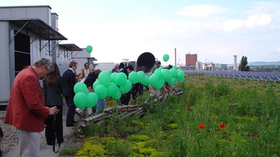 Menschen mit grünen Luftballons auf Dachgarten mit Solarmodulen.