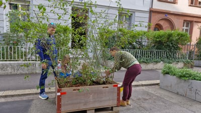 Menschen pflanzen in grossem Holzkasten auf der Strasse ein.