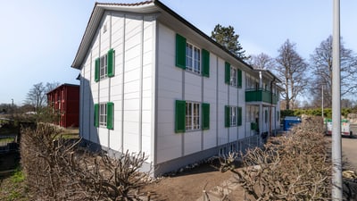 Weisses Haus mit grünen Fensterläden und kahlen Büschen davor.