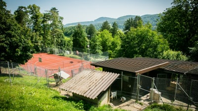 Blick auf Tennisplatz und Hundezwinger im Wald.