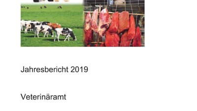 Deckblatt des Jahresberichts 2019 des Veterinäramts Basel-Stadt mit Tieren und Fleischstücken.