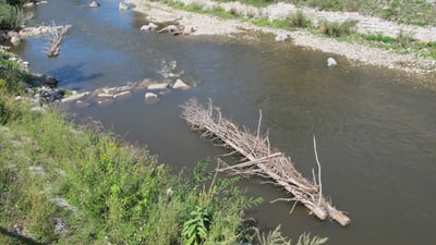 Astwerk schwimmt im Fluss Wiese