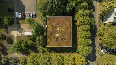 Draufsicht auf ein begrüntes Dach und umgebende Bäume.