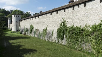 Mittelalterliche Mauer mit Türmen und Efeubewuchs.