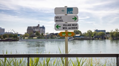 Wegweiser nach Basel, Weil am Rhein am Ufer mit Gräsern und dahinter der Rhein.