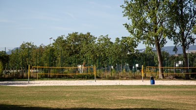 Outdoor-Volleyballfeld mit Bäumen im Hintergrund.