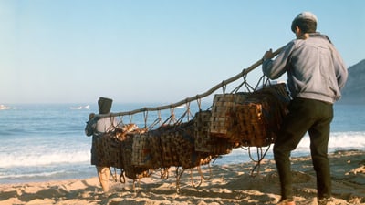 Zwei Personen tragen eine Ladung auf einem Strand.