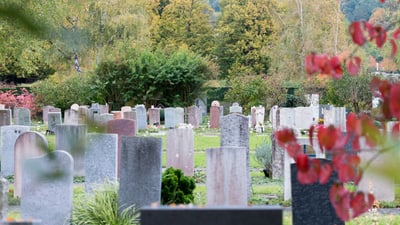 Friedhof mit Grabsteinen und herbstlichen Bäumen.