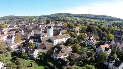 Panorama von Riehen 