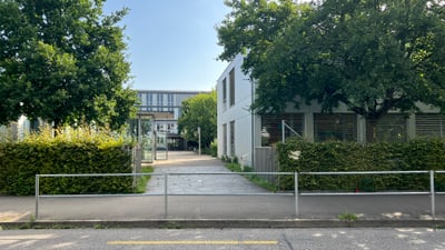 Schulareal mit Gehweg und Bäumen bei Sonnenschein.