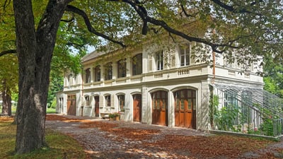 Historisches Gebäude mit Arkaden und grossem Baum im Vordergrund.
