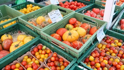 Bunte Tomaten in grünen Kisten auf einem Marktstand.