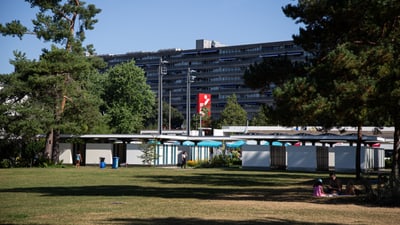 Garten mit Bäumen und Gebäuden im Hintergrund.