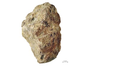 Geröllsteingerät vor weissem Hintergrund mit Massstab 1cm