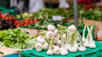 Fresh garlic from the Basel city market.