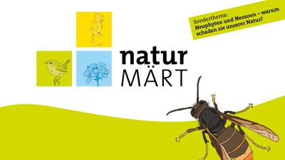 Plakat Natur-Märt mit Insekten, Pflanzen, Sonderthema Neophyten und Neozoen.