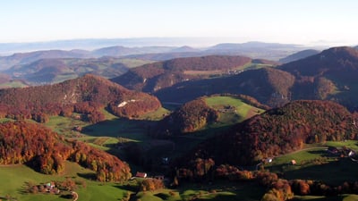 Herbstliche Hügellandschaft mit Wäldern und Feldern.