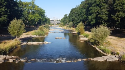 Fluss mit Felsen und Bäumen im Hintergrund.