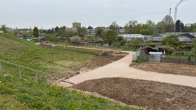 Freizeitgartenareal Milchsuppe