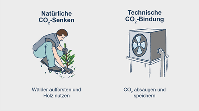 Illustration von CO2-Senkung durch Aufforstung und technische Speicherung.