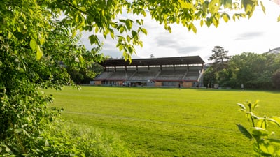 Fussballstadion mit Tribüne umgeben von Bäumen.