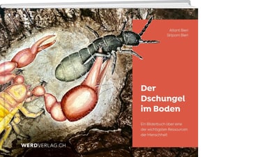 Buchcover mit Insektenillustration, Titel