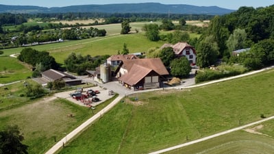 Luftaufnahme eines Bauernhofs in grüner Landschaft.