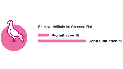 Stimmenverhältnis im Grossen Rat, Initiative