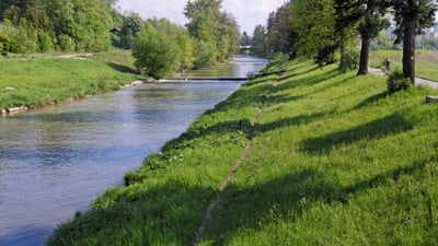 Fluss mit grünem Uferweg und Bäumen in den Langen Erlen.