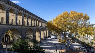 Aquädukt und Herbstbaum in sonniger Stadtlandschaft.