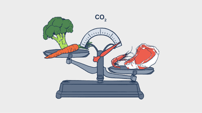 Vergleich des CO2-Ausstosses von Gemüse und Fleisch auf einer Waage.