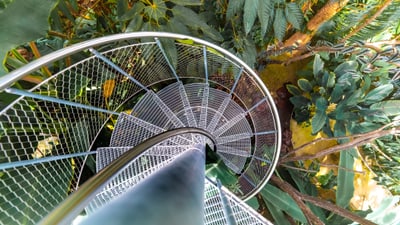 Tropenhaus im Botanischen Garten, Ersatzneubau