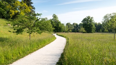 Weg durch eine grüne Wiese mit Bäumen im Schwarzpark.