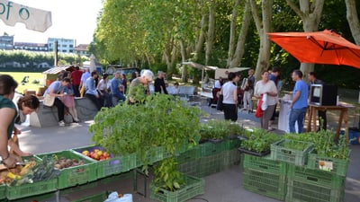 Der Breitemarkt mit verschiedenen Ständen