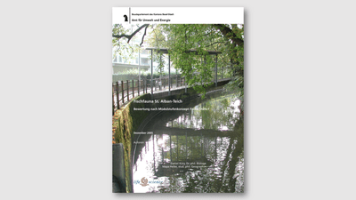 Bericht mit Bild von Fluss und Bäumen im Hintergrund.