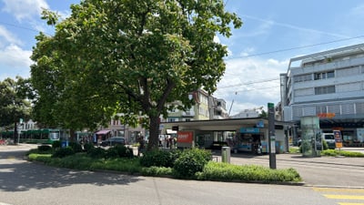 Stadtplatz mit Baum und Geschäften an sonnigem Tag.