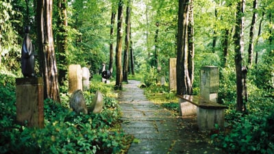 Pflasterweg durch bewaldeten Weg im Friedhof am Hörnli mit Gräbern und Bänken.