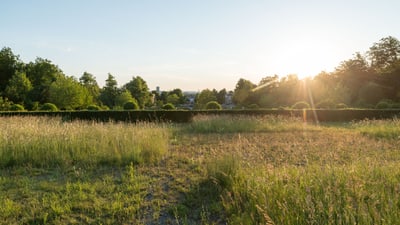 Sonnenuntergang auf dem Friedhof.