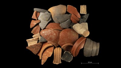 Sammlung von Keramikscherben auf schwarzem Hintergrund.
