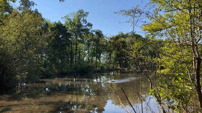 Entenweiher in der Langen Erle bei sonnigem Wetter.