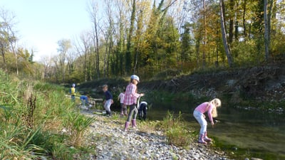 Kinder spielen am Flussufer im Wald.