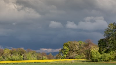 Landschaft mit dunklen Wolken und sonnenbeschienener Wiese.