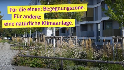 Video zur Schwammstadt