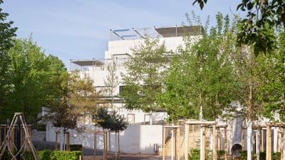 Moderne weisse Gebäude hinter Bäumen und Sträuchern.